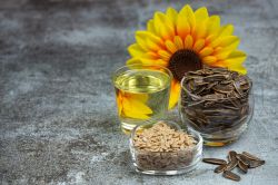Quais são os benefícios do óleo de girassol para a saúde?